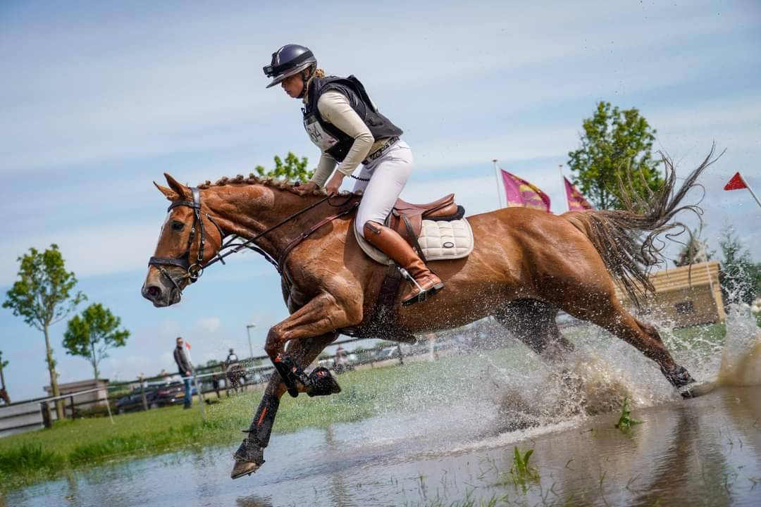 BWP fokmerrie 2011 drachtig van Arezzo VDL