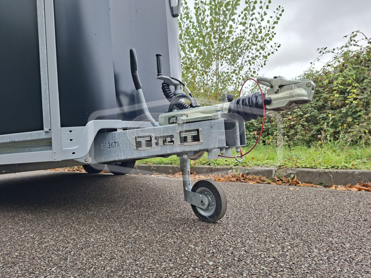 Paardentrailers Ifor Williams HB 511 PONT PORTE 2 Paarden 2025 Nieuw