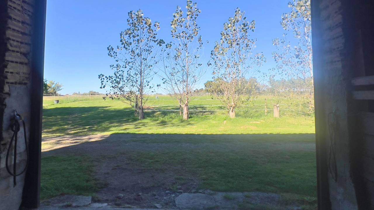 Hippisch vastgoed Koop Landes