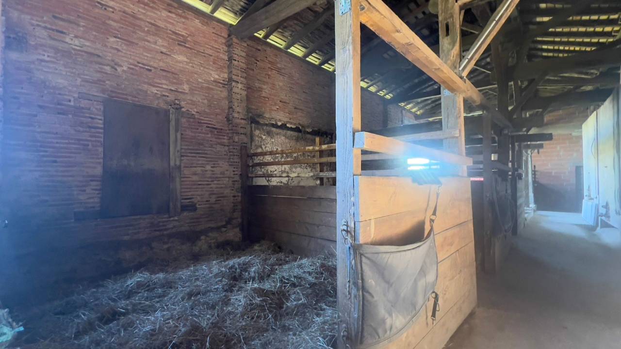 Hippisch vastgoed Koop Landes