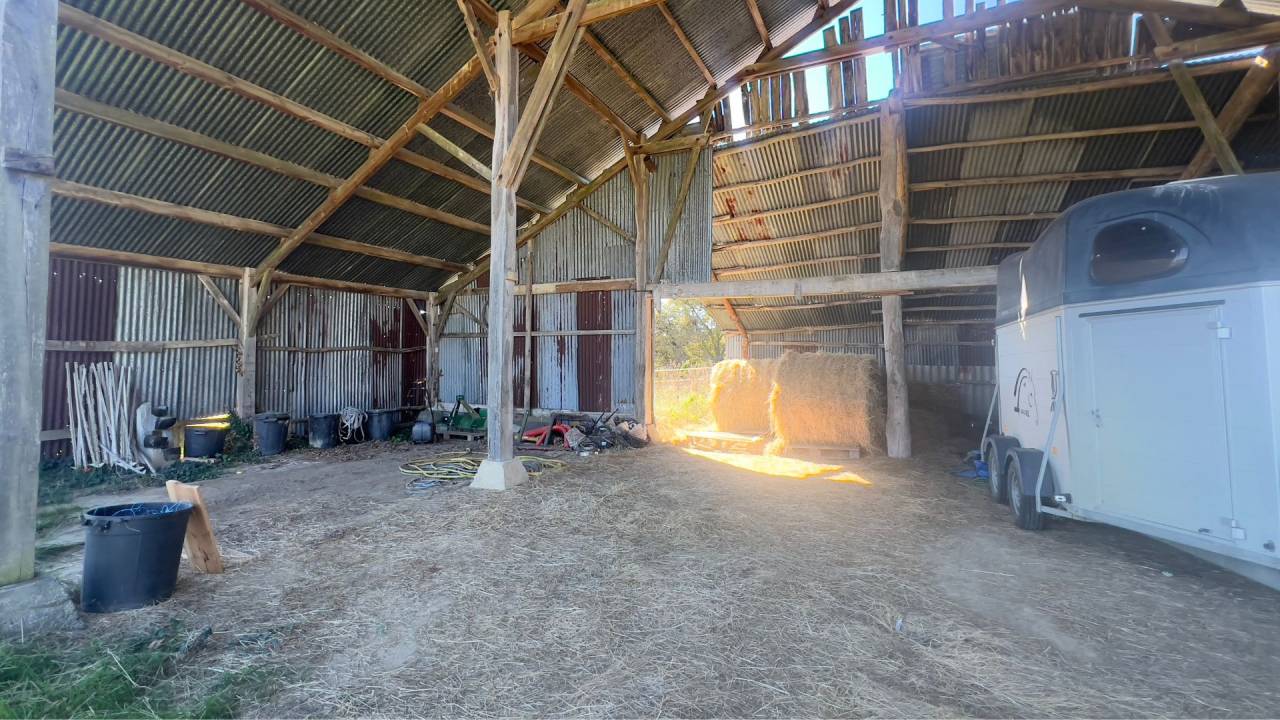 Hippisch vastgoed Koop Landes