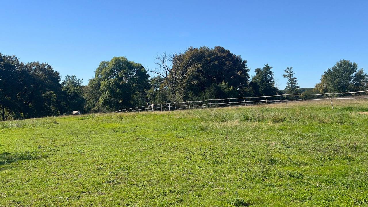 Hippisch vastgoed Koop Landes
