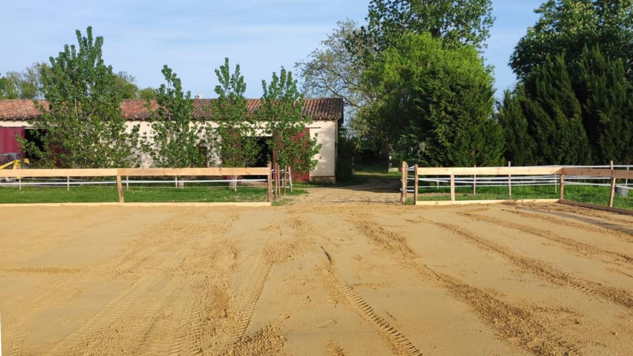 Hippisch vastgoed Koop Landes