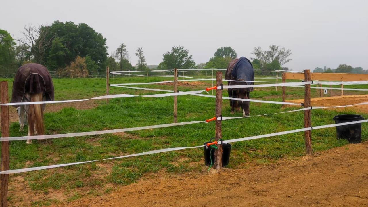Hippisch vastgoed Koop Landes