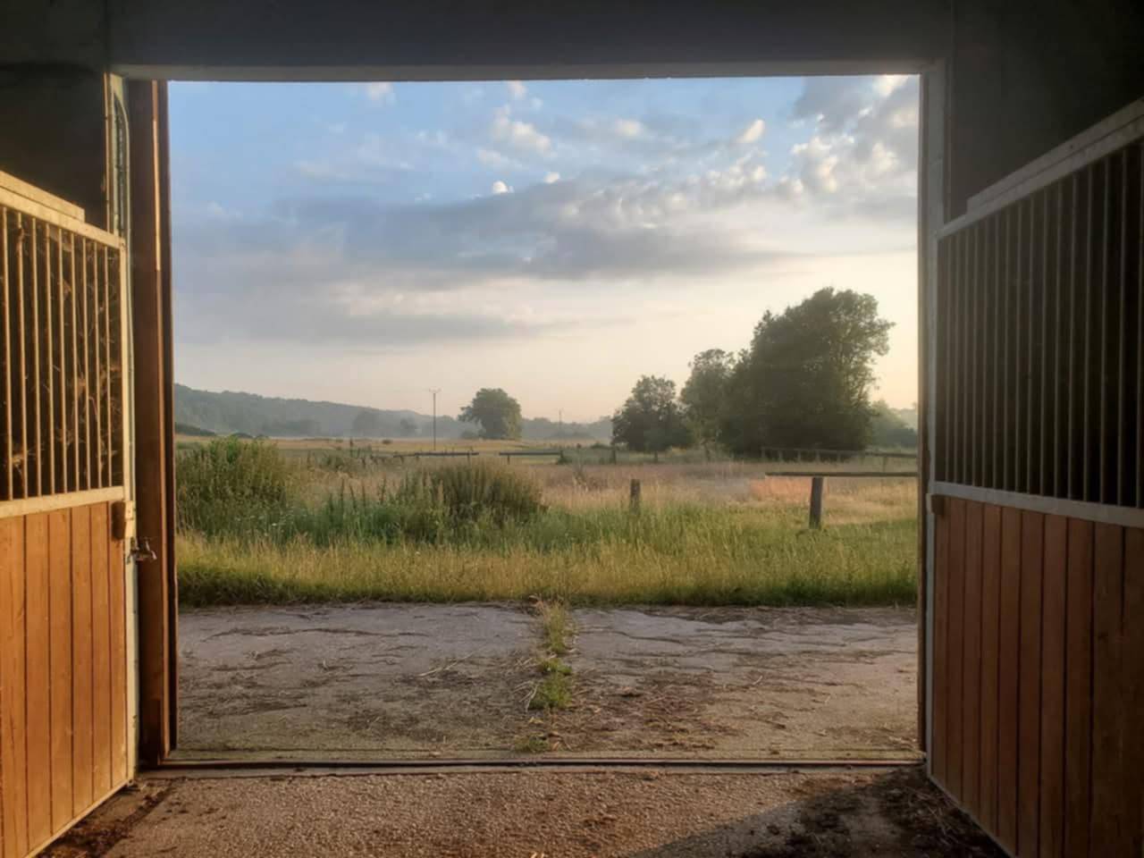 Stoeterij Koop Yonne