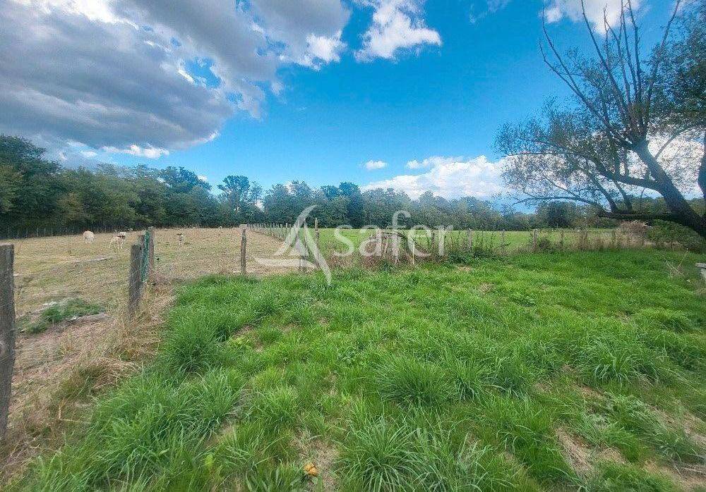 Hippisch vastgoed Koop Ain