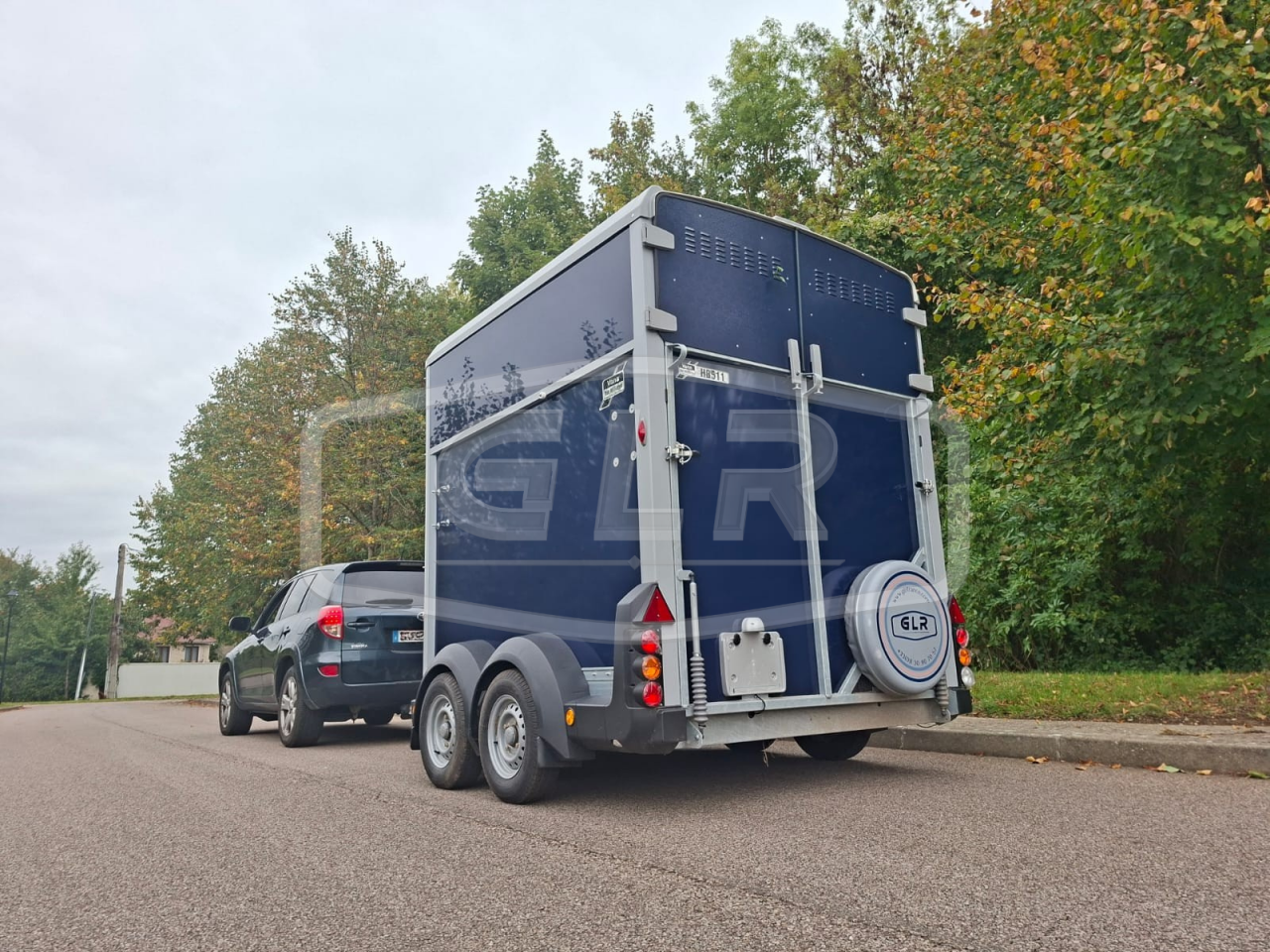 Paardentrailers Ifor Williams HB 511 2 Paarden 2025 Nieuw