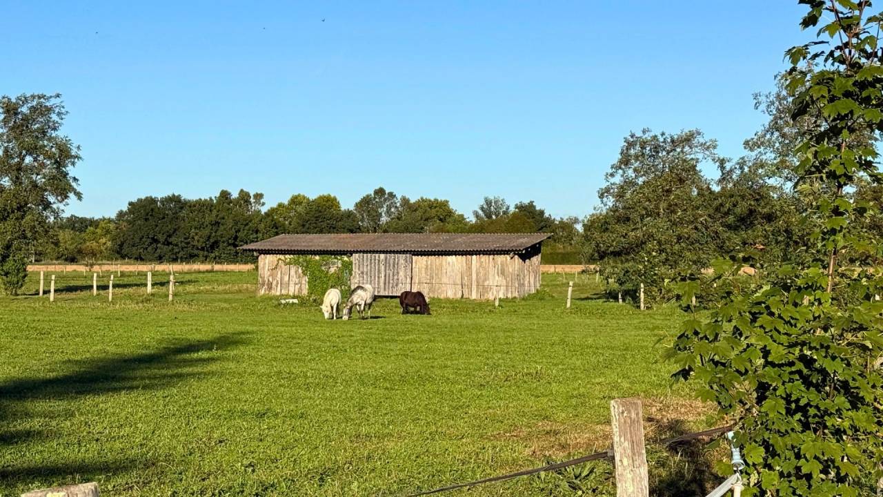 Ruiterclub Koop tarn