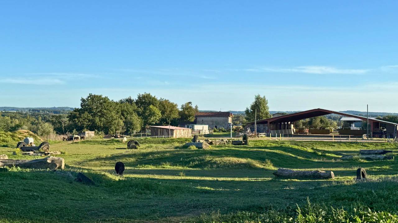 Ruiterclub Koop tarn