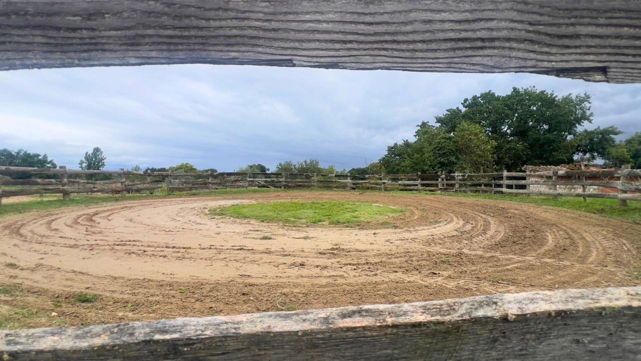 Ruiterclub Koop tarn