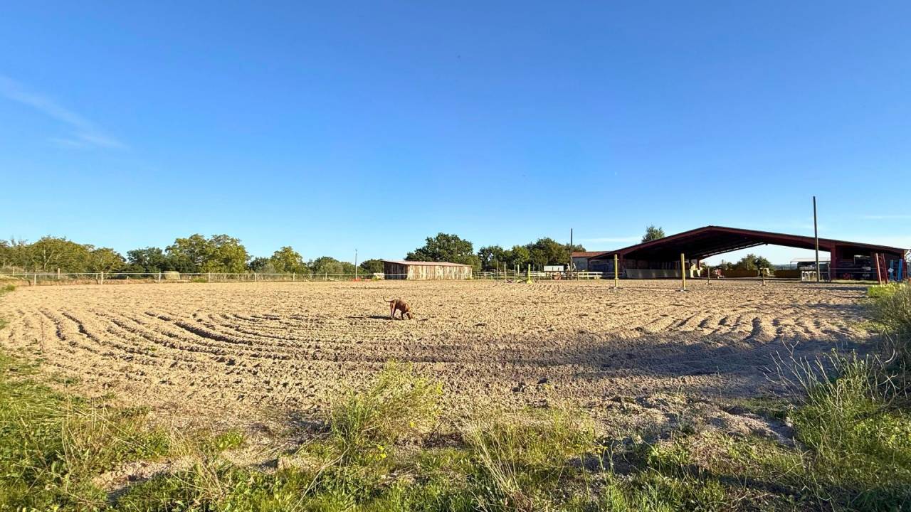 Ruiterclub Koop tarn