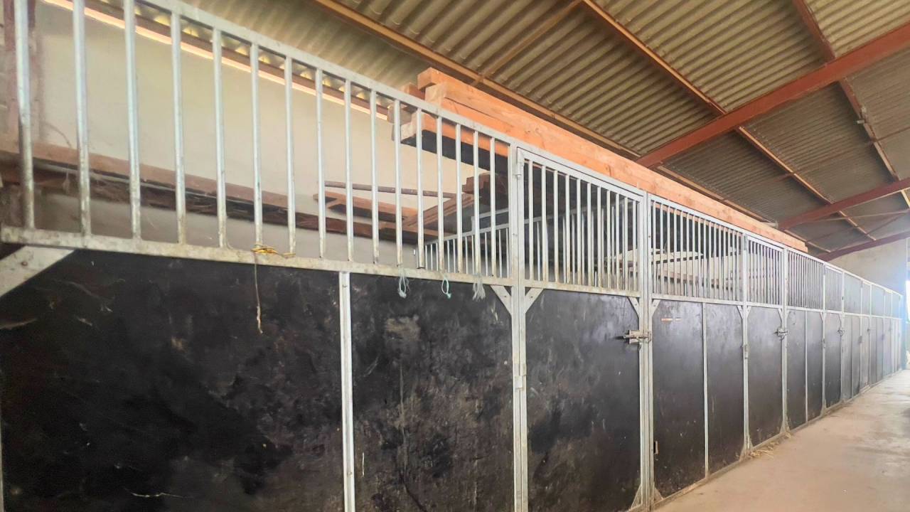 Ruiterclub Koop tarn