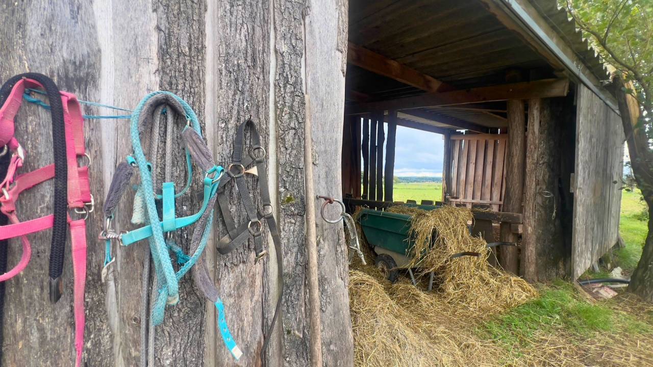 Ruiterclub Koop tarn