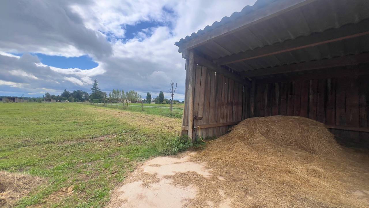 Ruiterclub Koop tarn