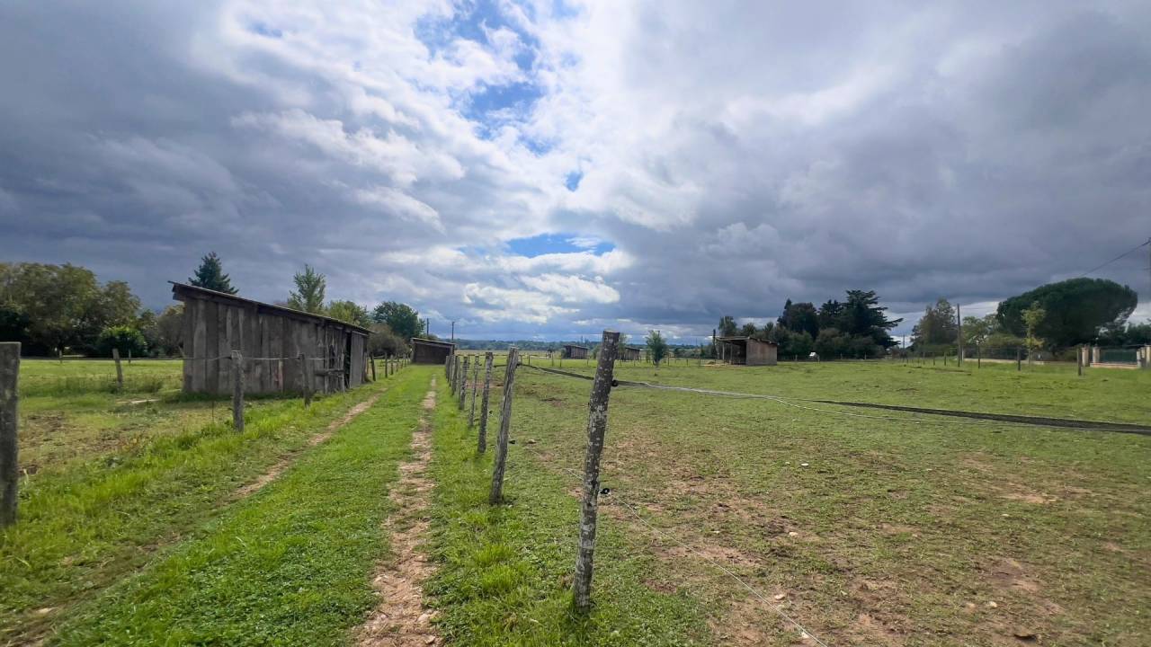 Ruiterclub Koop tarn