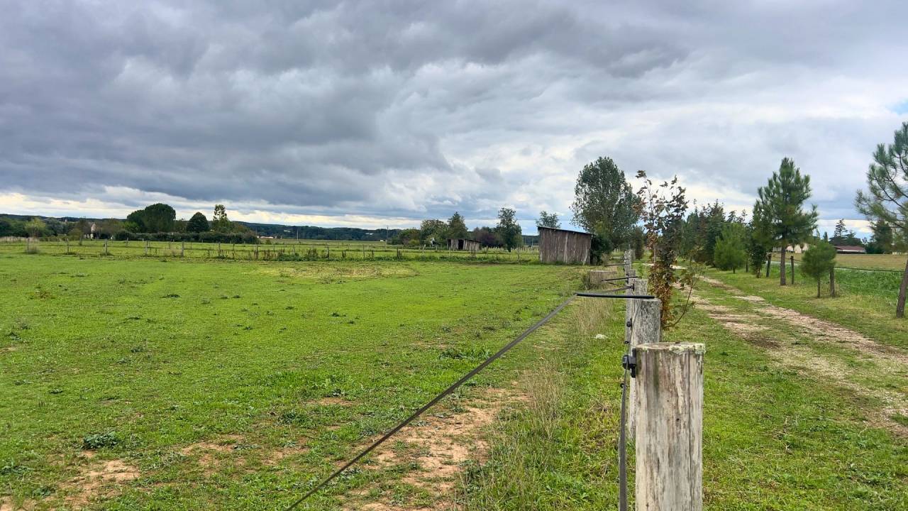 Ruiterclub Koop tarn