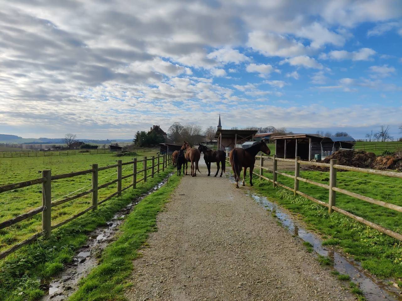 Hippisch vastgoed Koop Haute-Saône