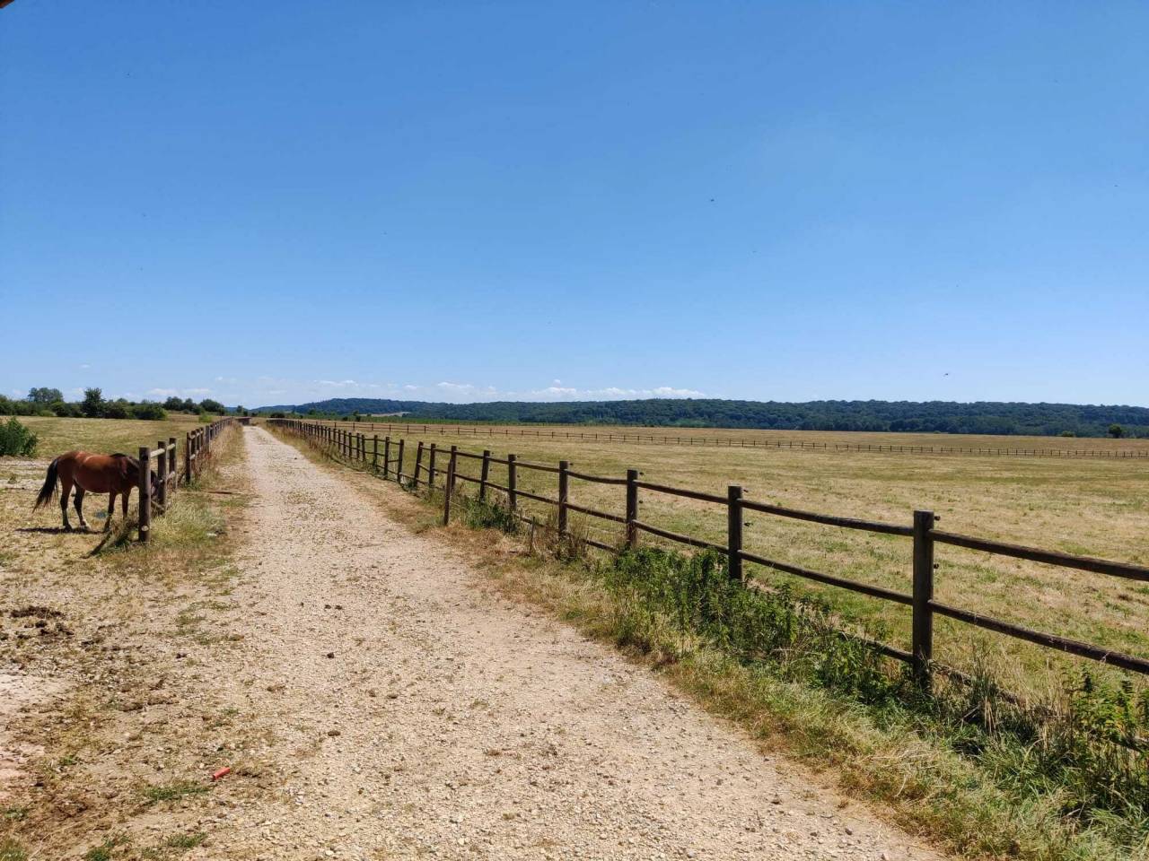 Hippisch vastgoed Koop Haute-Saône