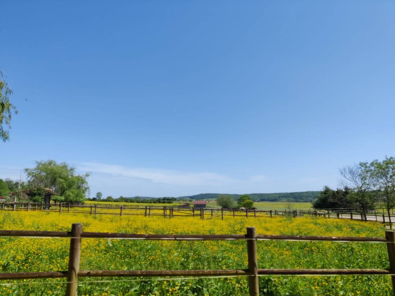 Hippisch vastgoed Koop Haute-Saône