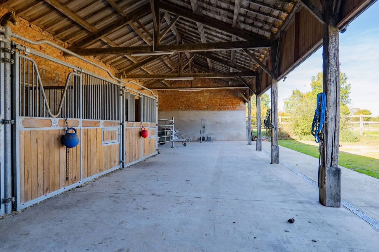 Hippisch vastgoed Koop Vendée