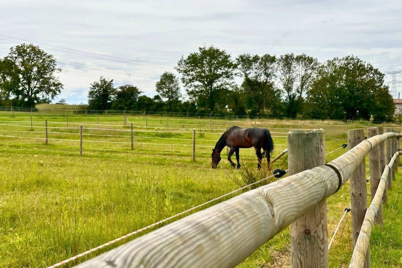 Hippisch vastgoed Koop Ain