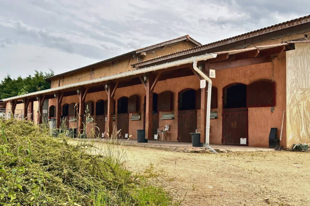 Hippisch vastgoed Koop Ain