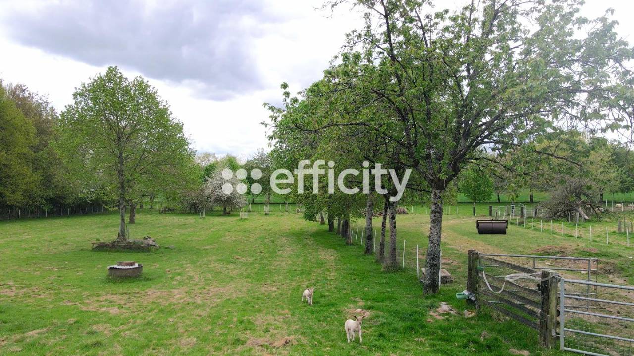 Mooi hippisch vastgoed Koop Ile-et-Vilaine