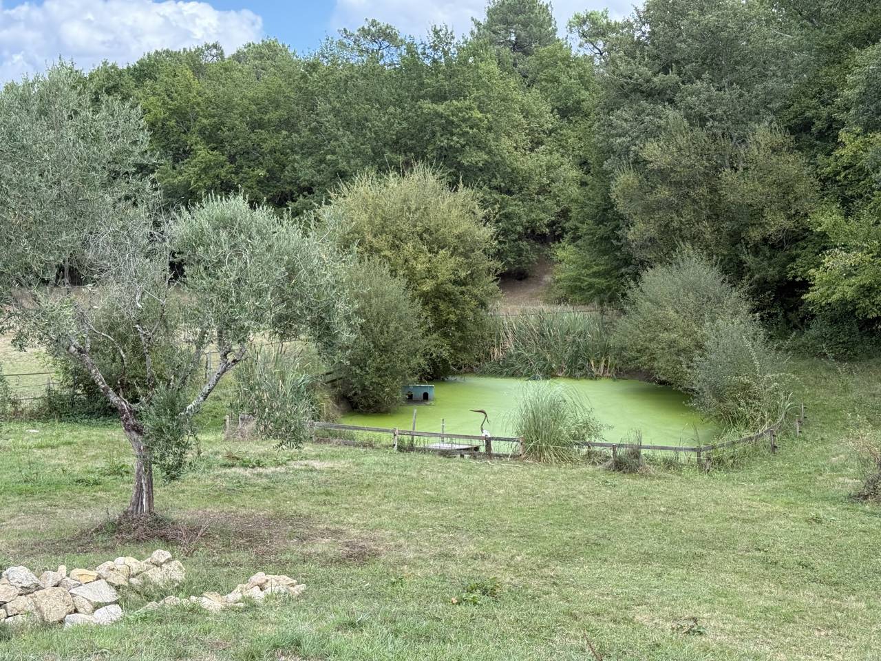 Hippisch vastgoed Koop Gironde
