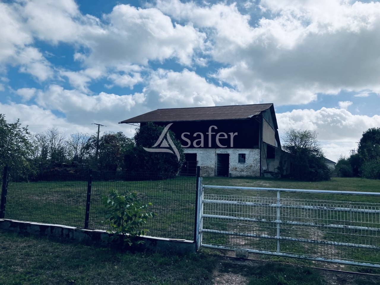 Schapen exploitatie Koop Nièvre