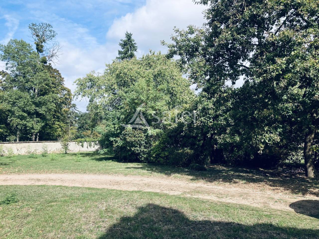 Schapen exploitatie Koop Nièvre