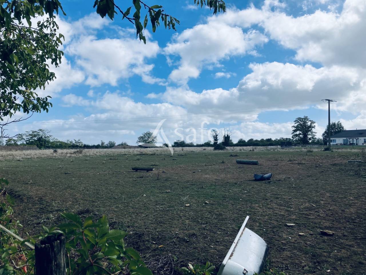 Schapen exploitatie Koop Nièvre