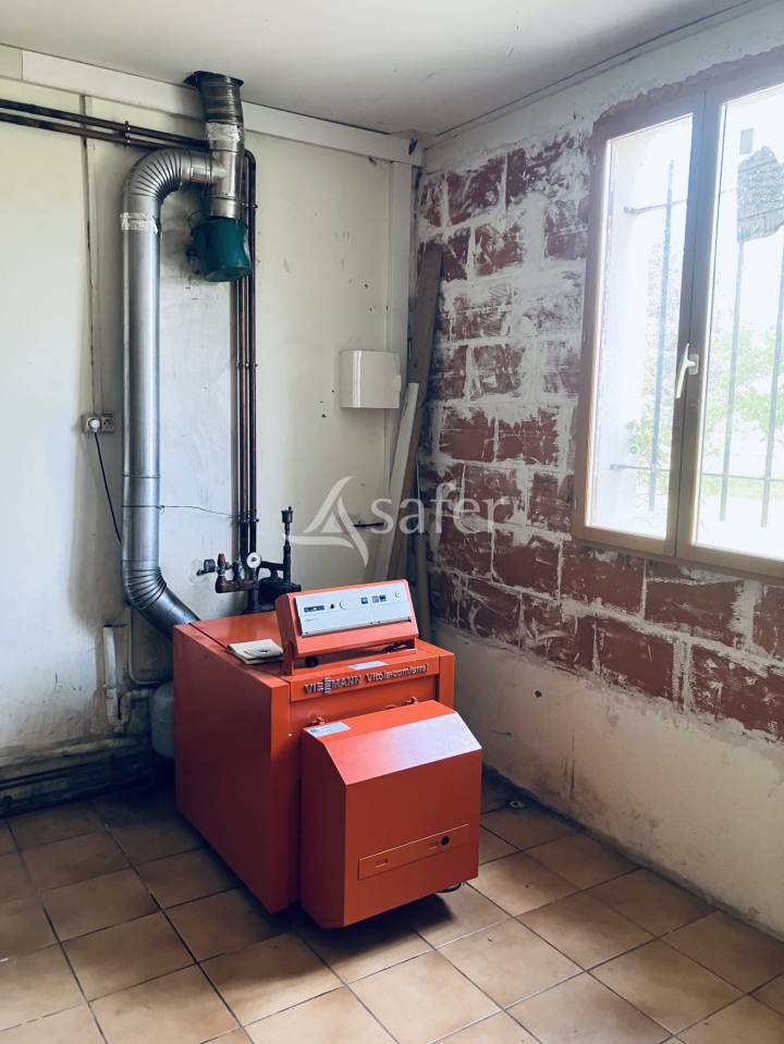 Schapen exploitatie Koop Nièvre