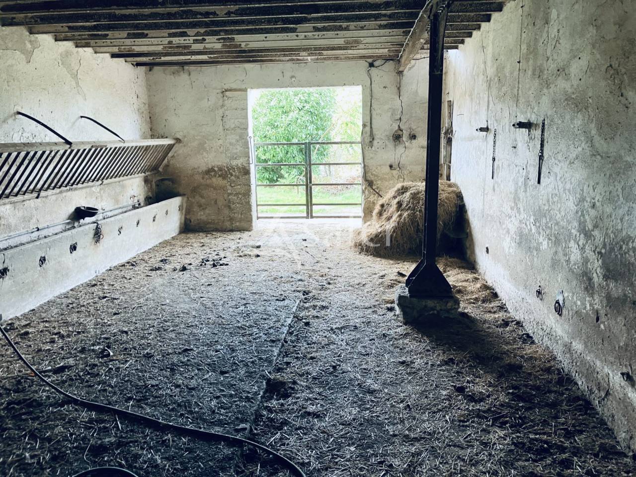 Schapen exploitatie Koop Nièvre