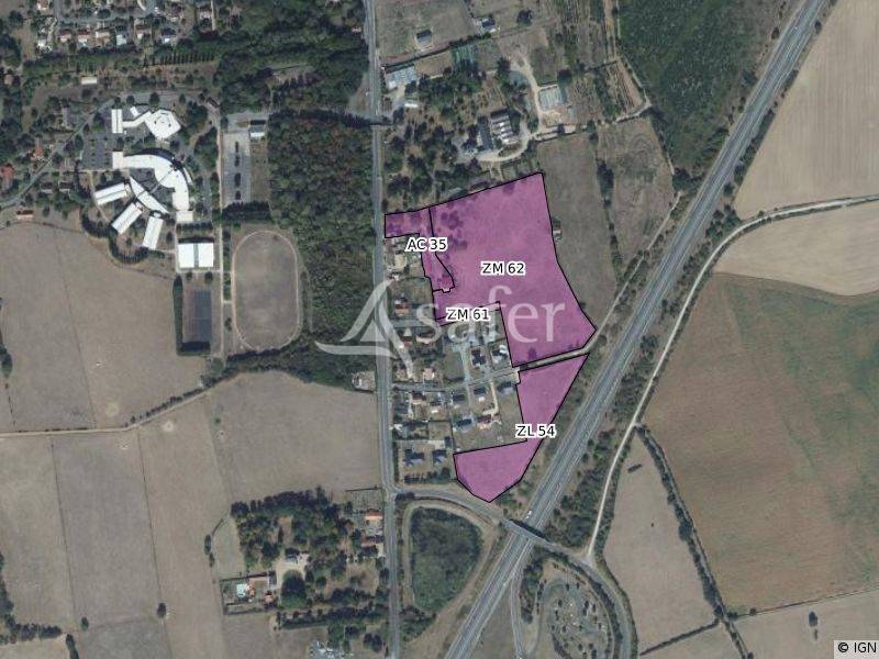 Schapen exploitatie Koop Nièvre