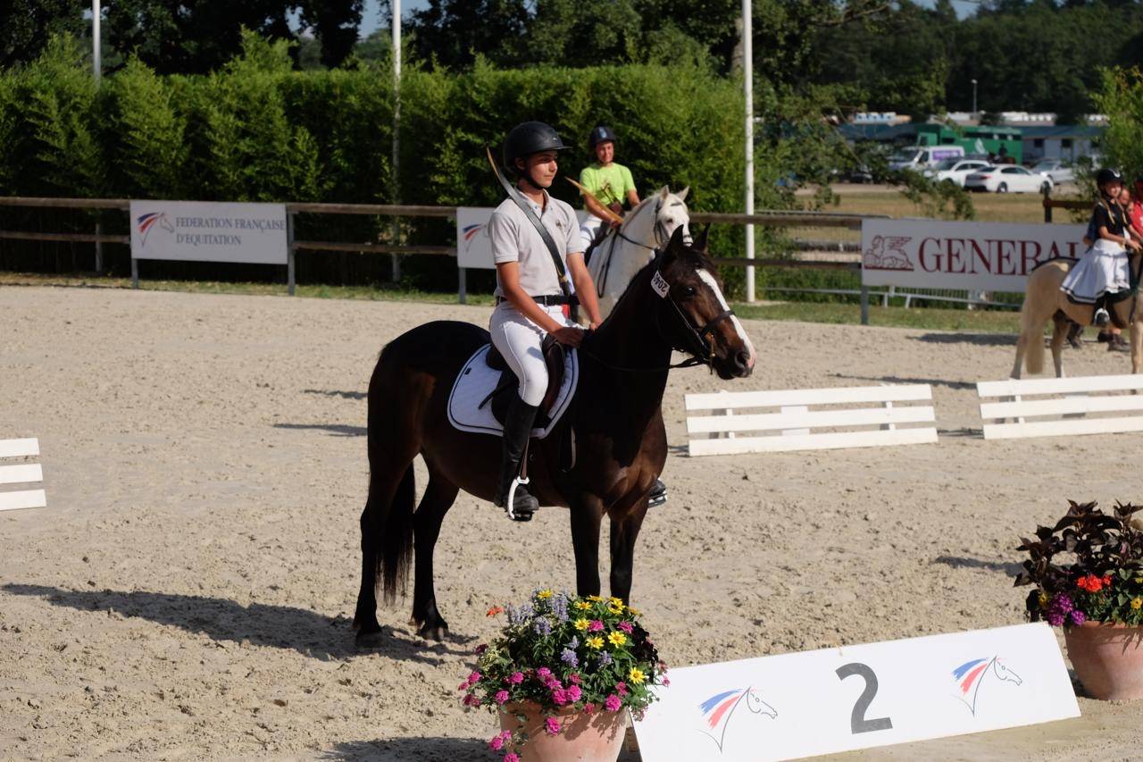 Merrie Andere pony rassen Te koop 2013 Bruin / Bai