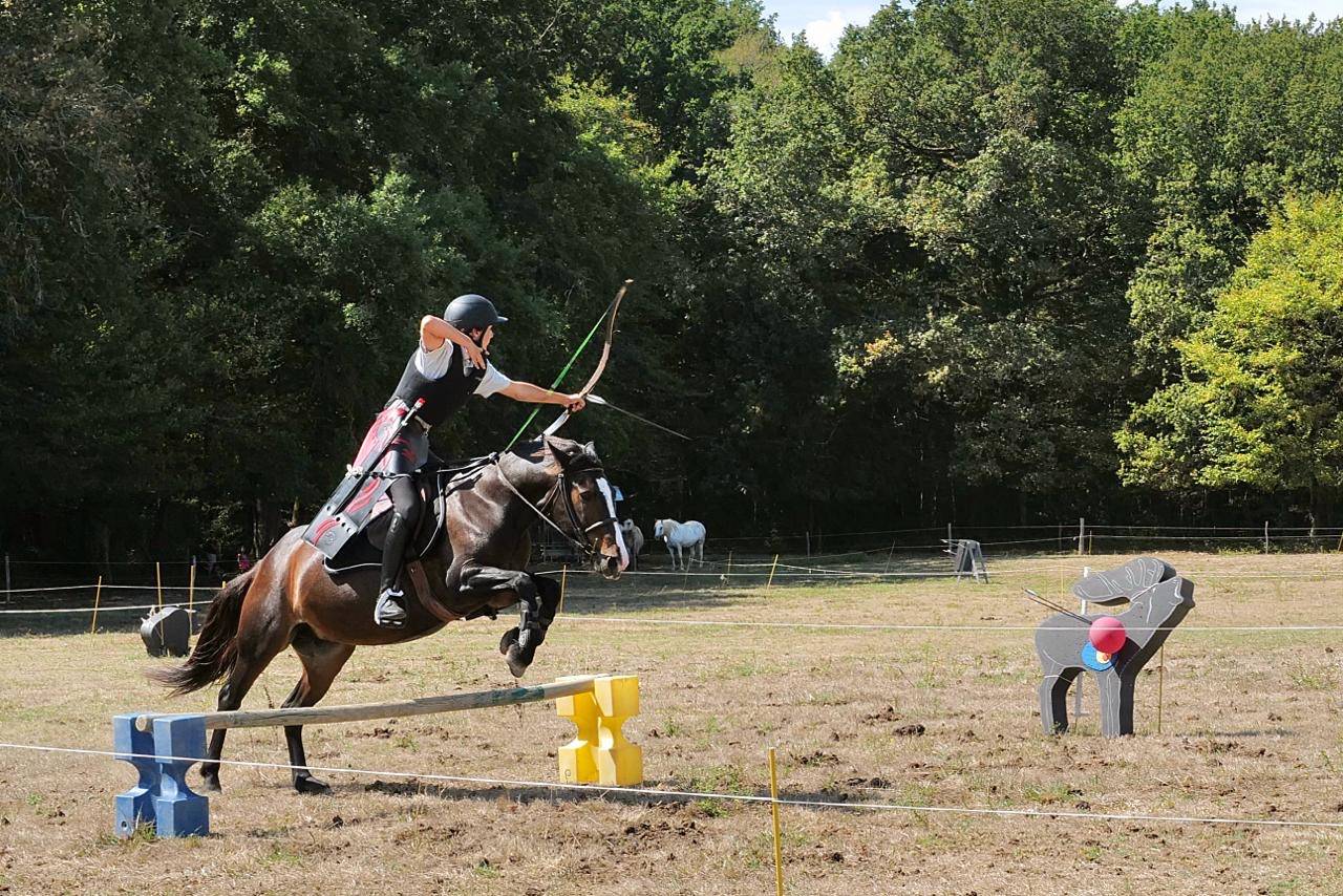 Merrie Andere pony rassen Te koop 2013 Bruin / Bai