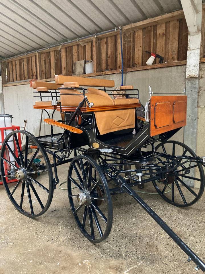 Rijtuigen - Spider - Ander merk - Spider 