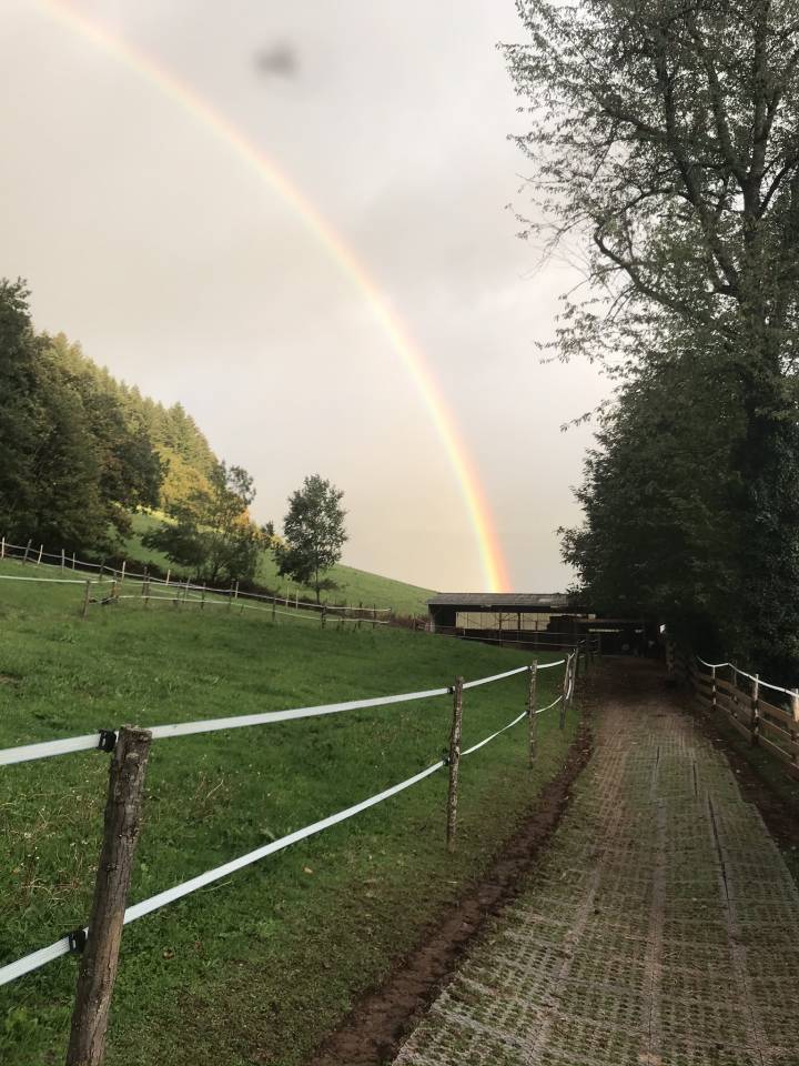 Mooi hippisch vastgoed Koop Cantal