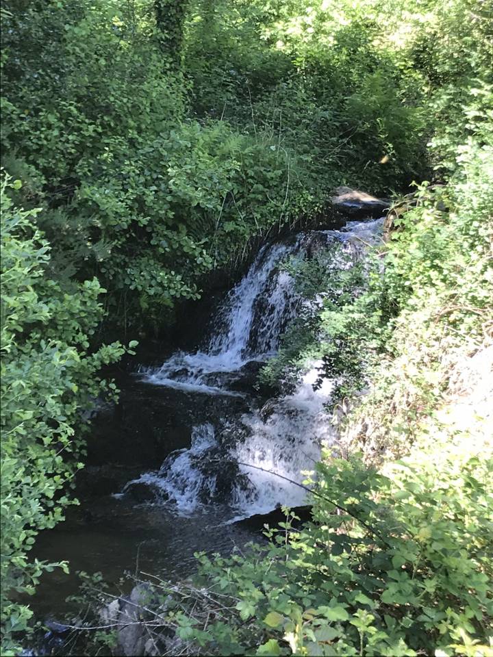 Mooi hippisch vastgoed Koop Cantal