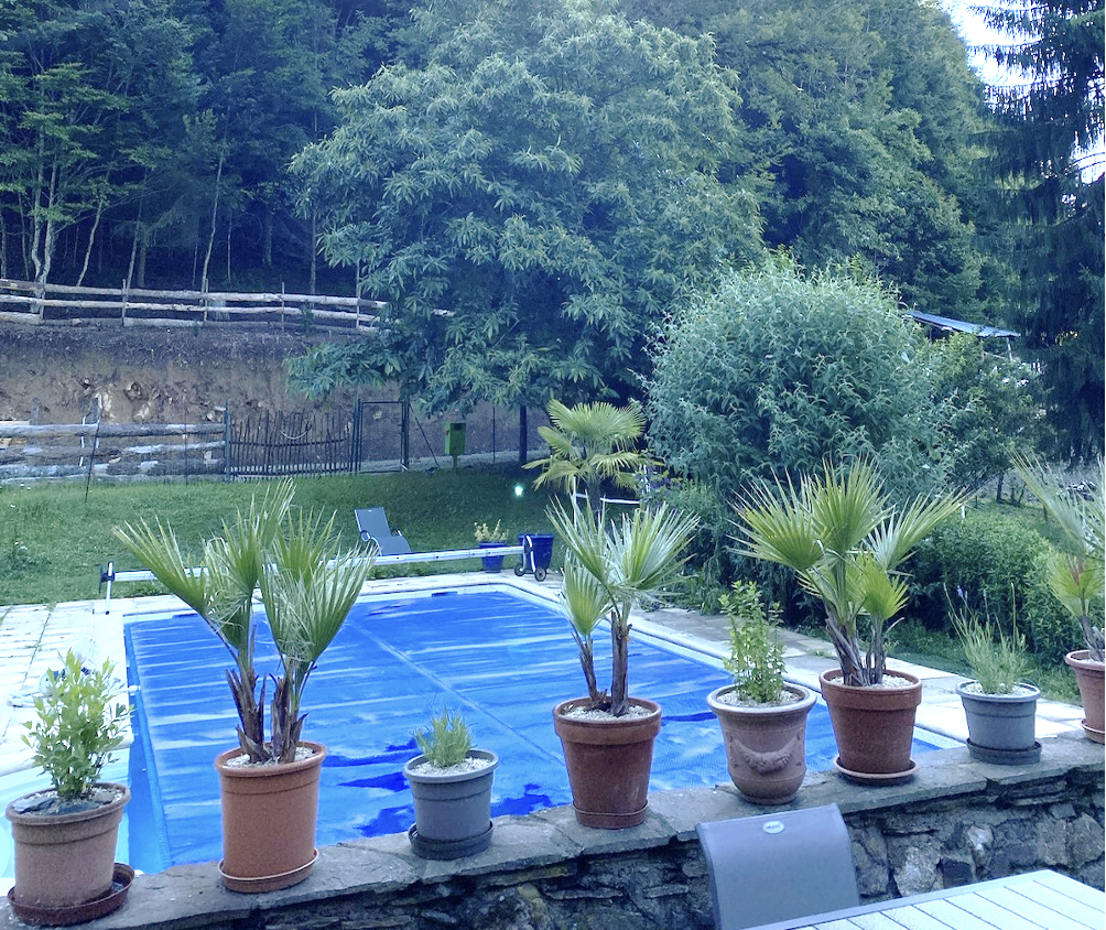 Mooi hippisch vastgoed Koop Cantal