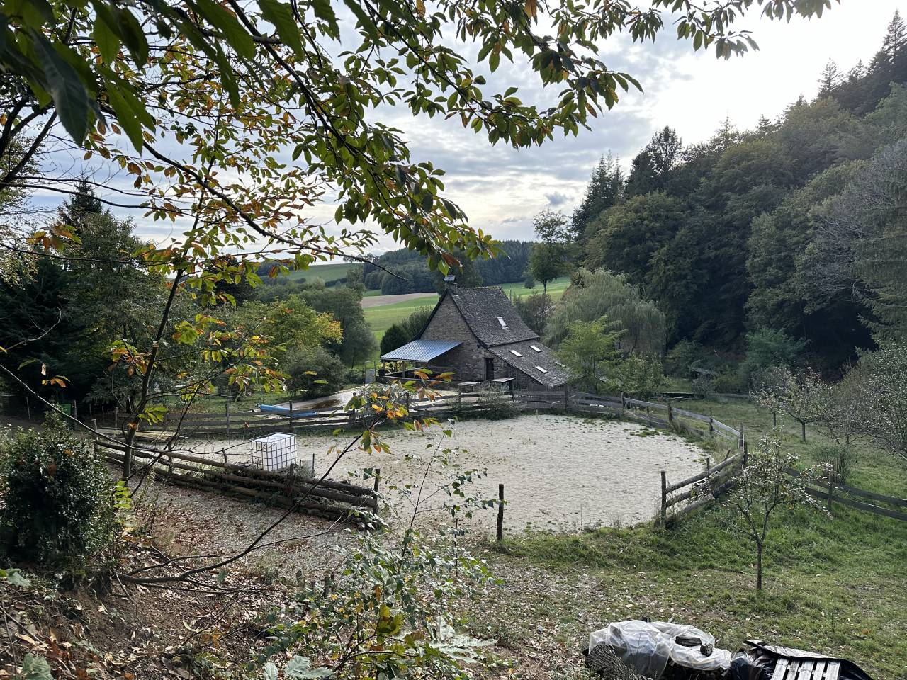 Mooi hippisch vastgoed Koop Cantal