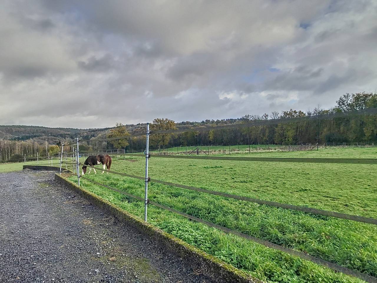 Ruiterclub Koop Liège