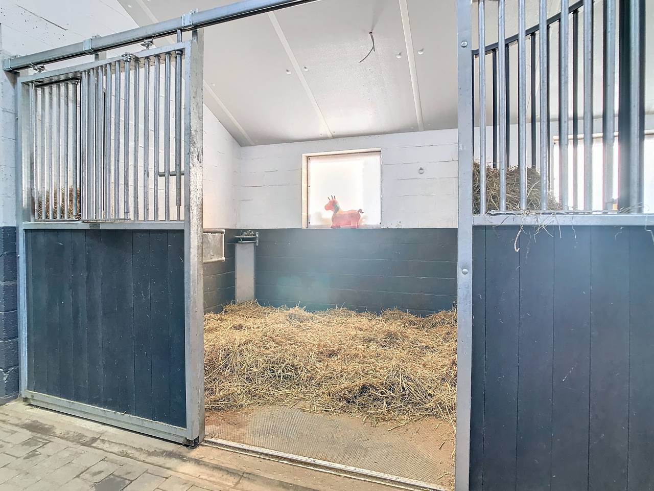 Ruiterclub Koop Liège