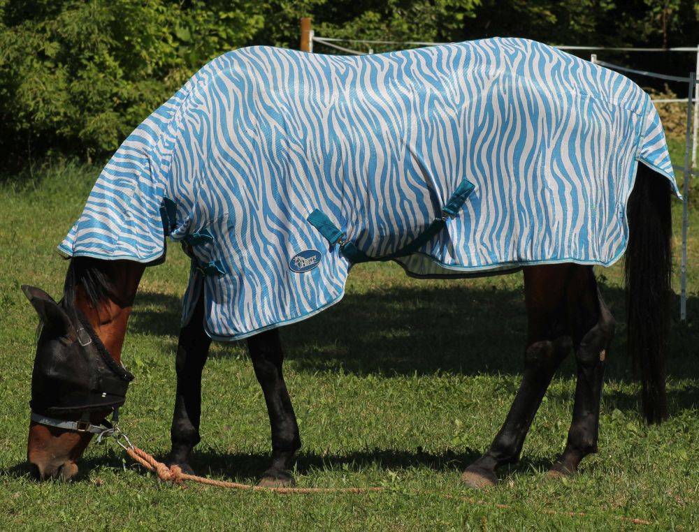 Furioso merrie te koop 