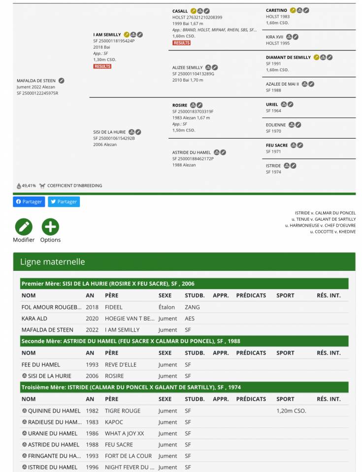 Merrie Selle Français Te koop 2022 Vos ,  I Am Semilly