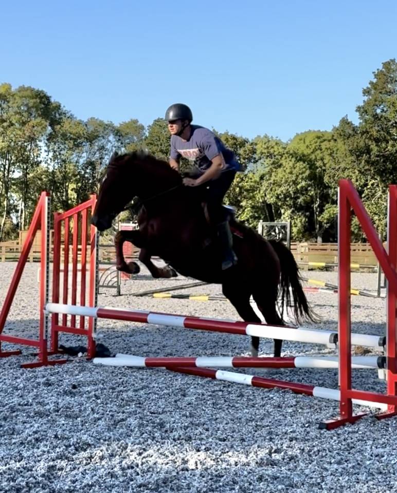 Merrie Selle Français Te koop 2022 Vos ,  I Am Semilly