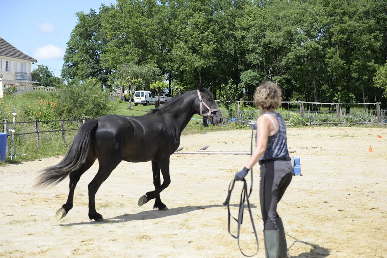 Ruin Minorquin Te koop 2016 Zwart ,  SUTSU(ESP)OES