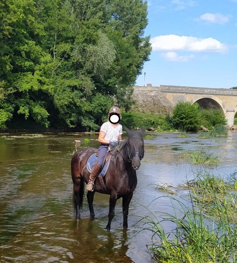 Ruin Minorquin Te koop 2016 Zwart ,  SUTSU(ESP)OES