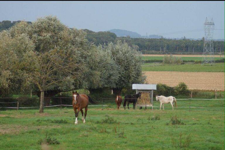 Eigenaren stal Huur Nord