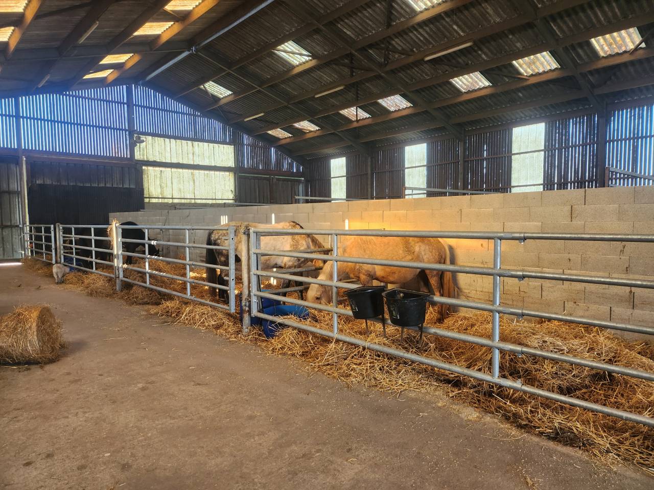 Eigenaren stal Huur Nord